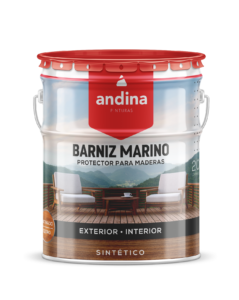 Andina