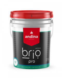 Andina