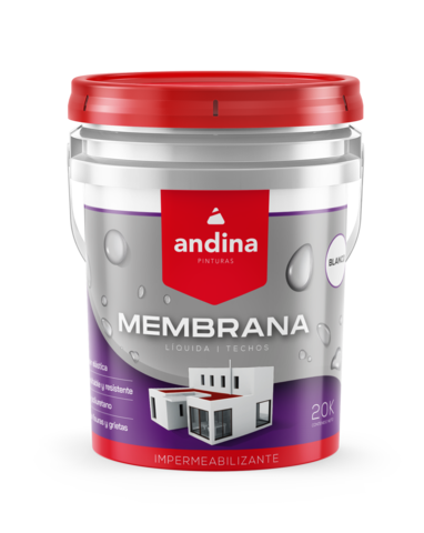 Andina