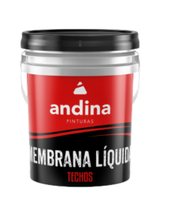 Andina